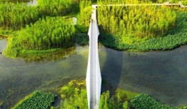 网红王小麦爆料了吗视频